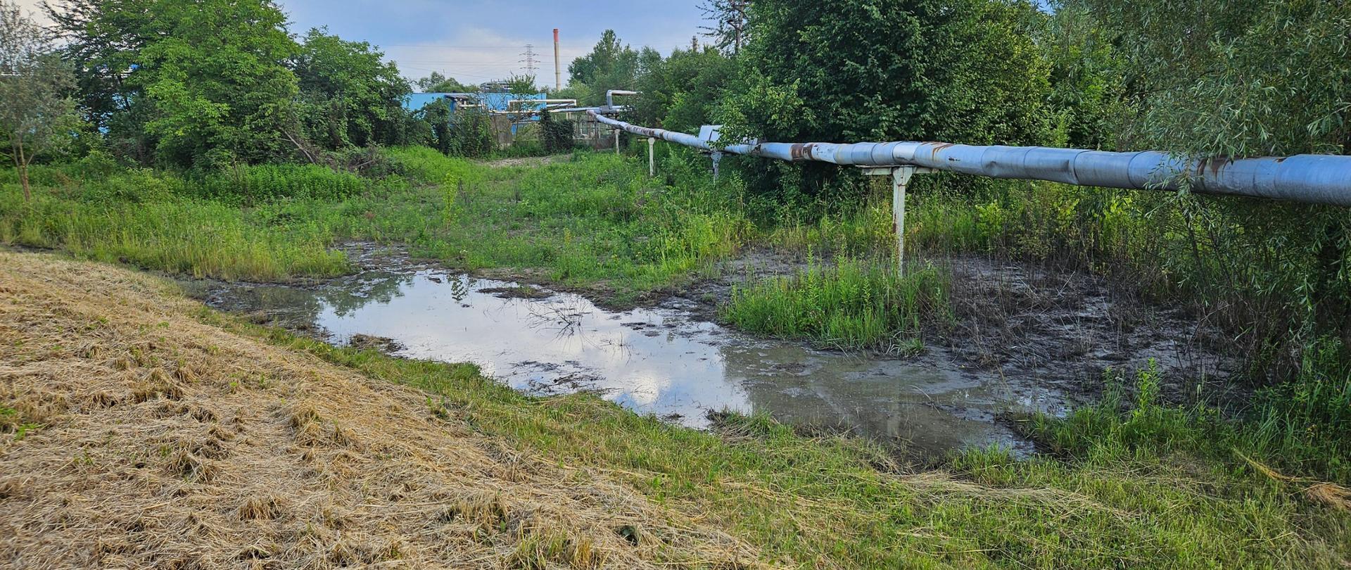 Wyciek nieznanej substancji na Wisłoku w Jaśle