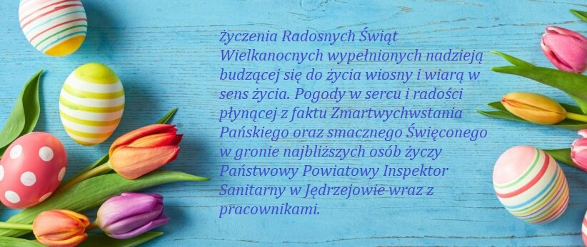 Fresh tulips and Easter eggs in a colorful turquoise blue banner with centre copy space for your holiday or spring greeting