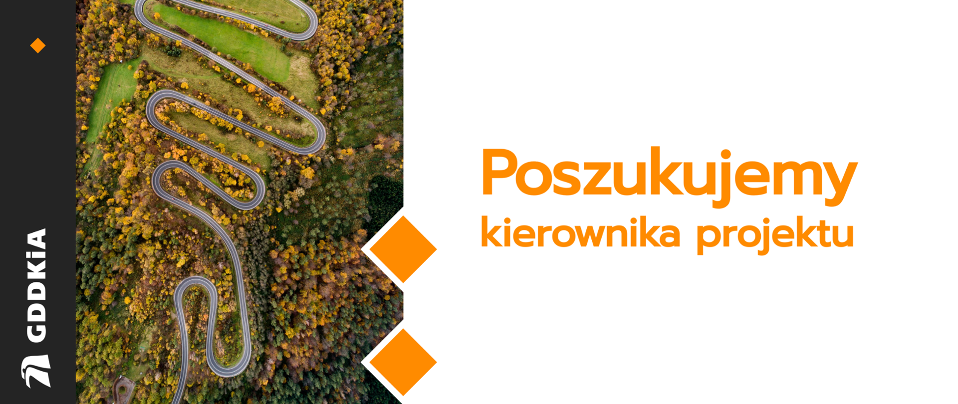 Poszukujemy kierownika projektu