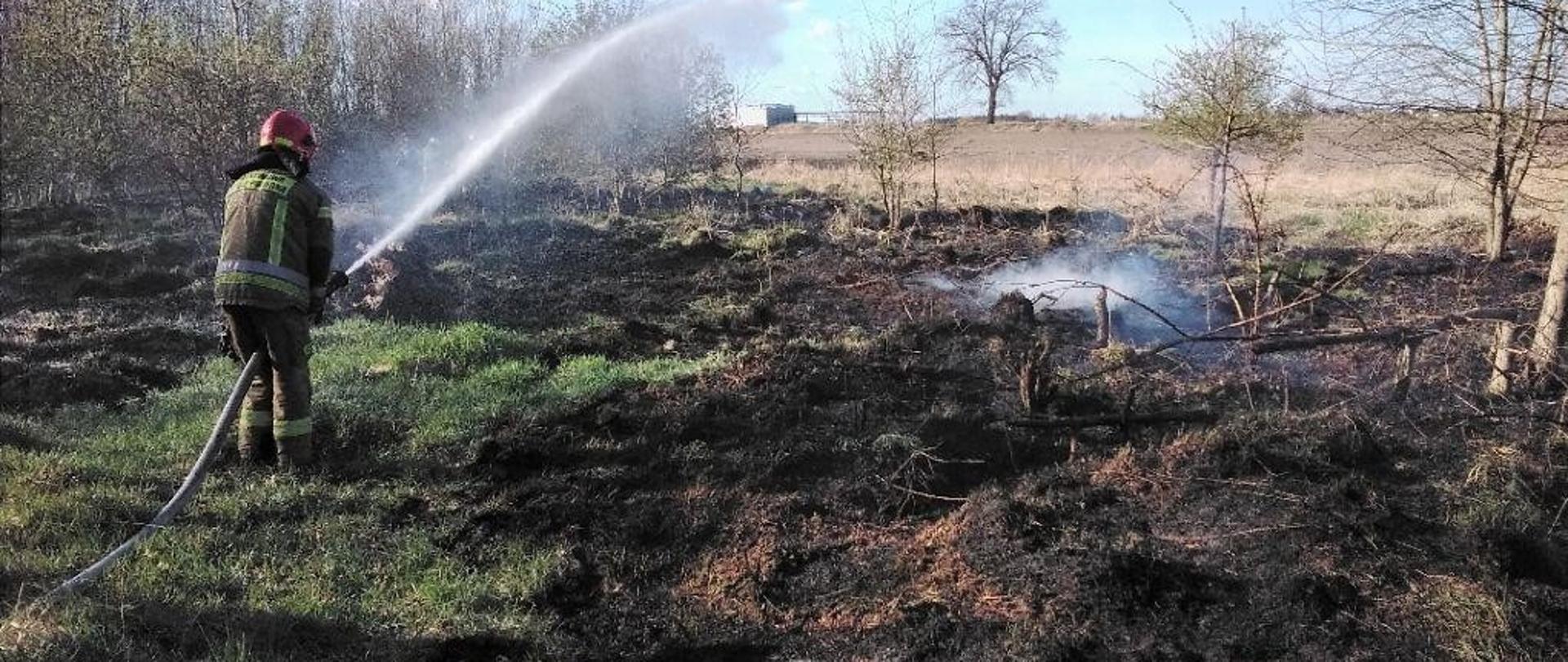 Pożar traw na nieużytkach, funkcjonariusz gaszący ogień