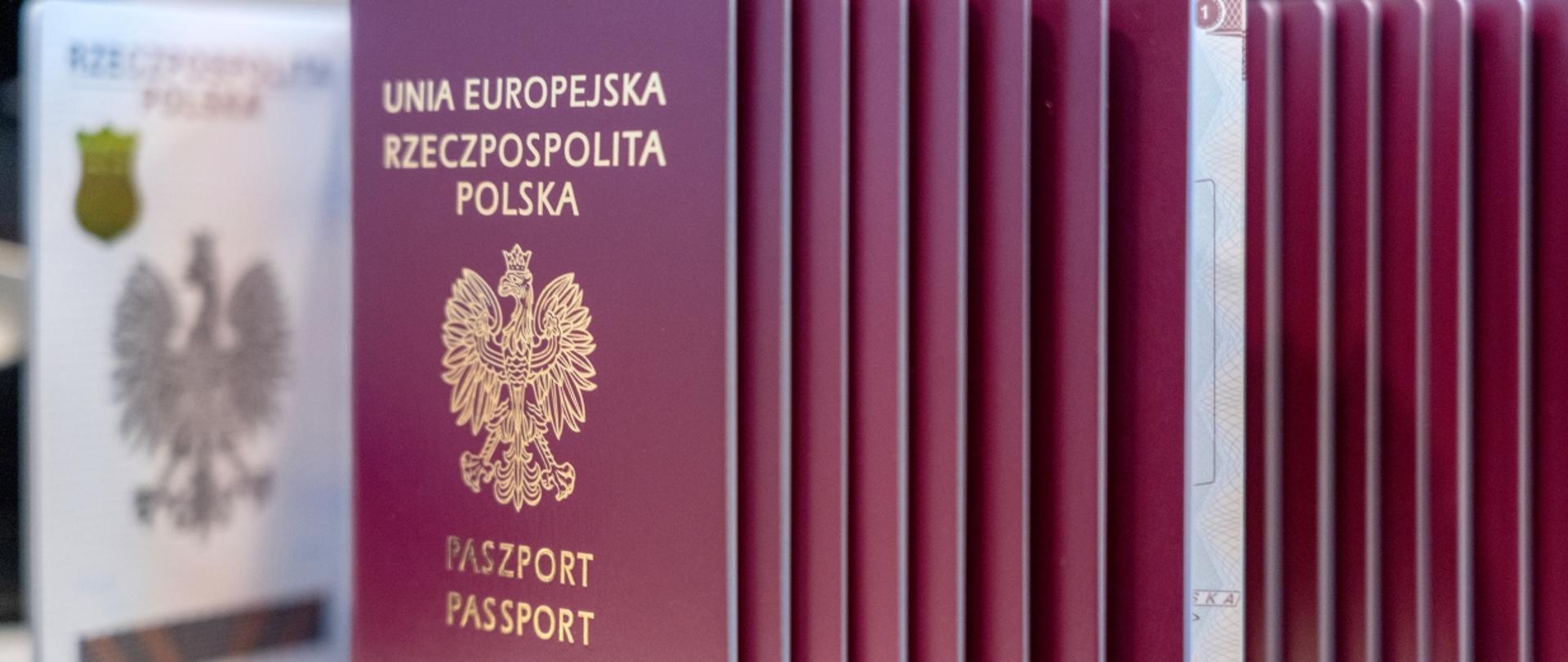 Zdjęcie paszportów