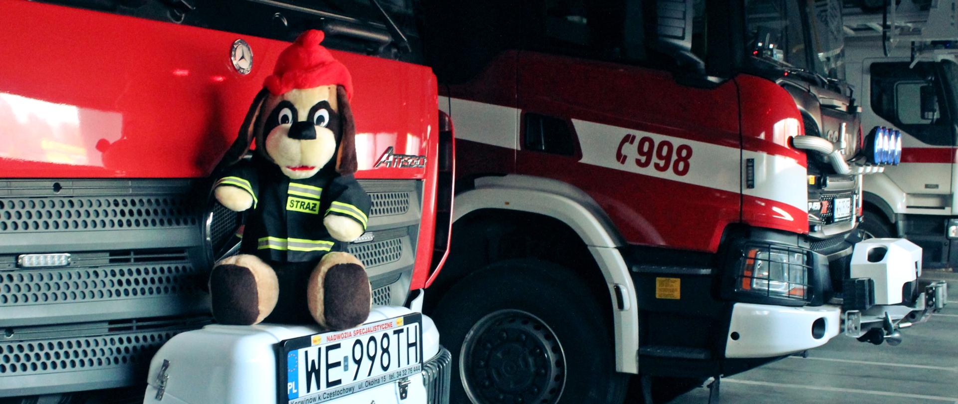 Światowy Dzień Pluszowego Misia, fot. Daria Lipińska 