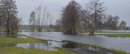 Okolice miejscowości Wydawy. Podtopiona znaczna powierzchnia łąk. Woda zlewa także drogę gruntową. Na łąkach rosną drzewa. W tle widoczny jest las. 