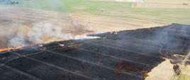 Pożar zboża na 46 hektarowym polu ….