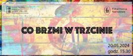 Plakat w kolorach grafitti z motywem muzycznym. W lewym górnym rogu logo szkoły, w prawym górnym rogu logo filharmonii narodowej. Na środku czarny napis "Co brzmi w trzcinie". W prawym dolnym rogu data i godzina. 