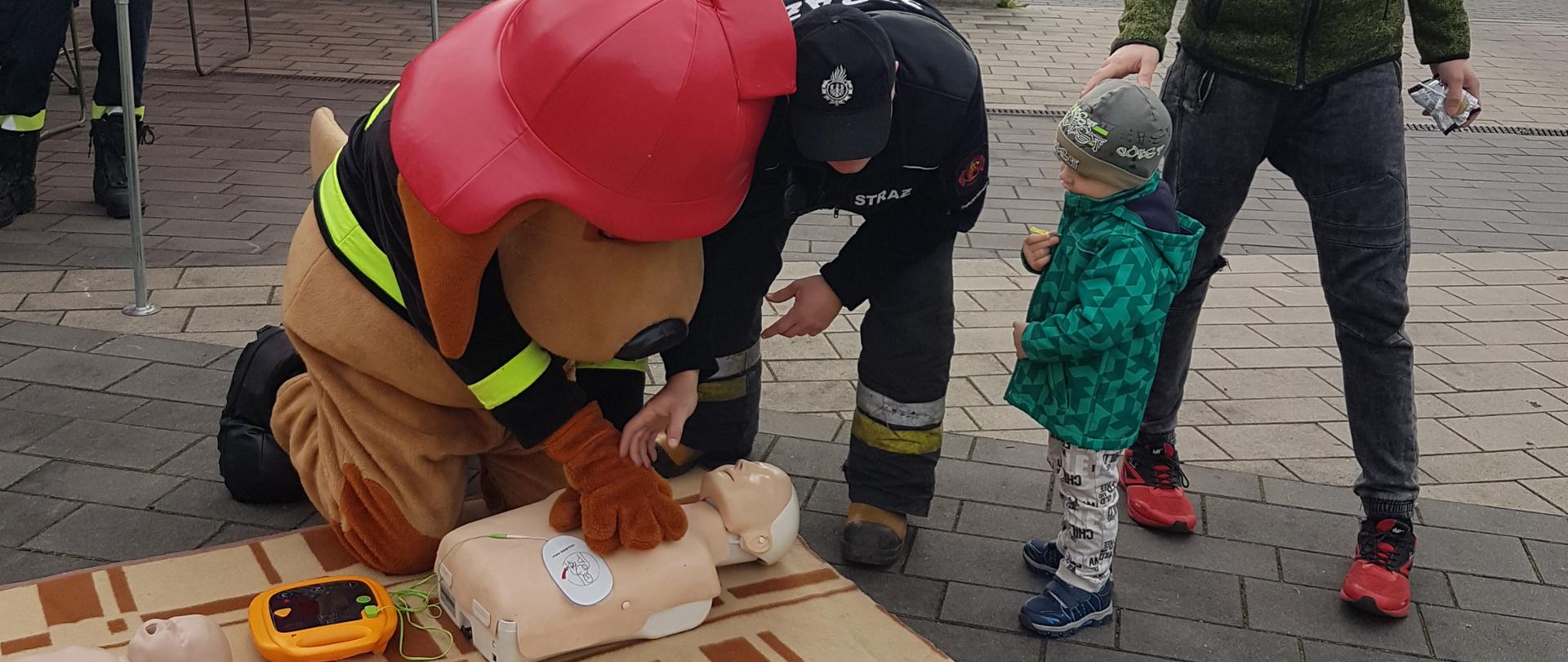 Zdjęcie przedstawia Psa żarka i druha OSP uczących udzielania resuscytacji krążeniowo-oddechowej.