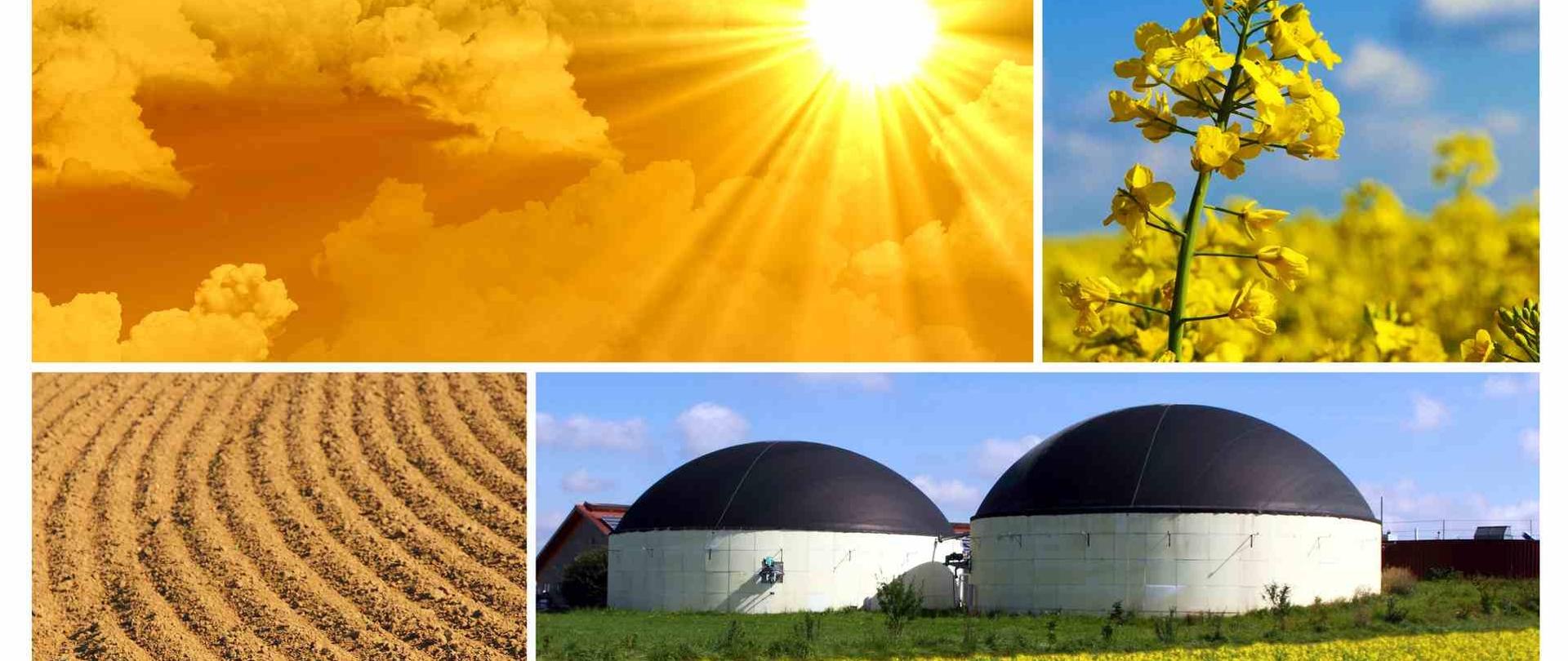 Grafika ilustracyjna