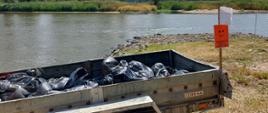 Zdjęcie przedstawia skutki skażenia rzeki Odry. Na zdjęciu widać śnięte ryby w workach przygotowane do utylizacji.