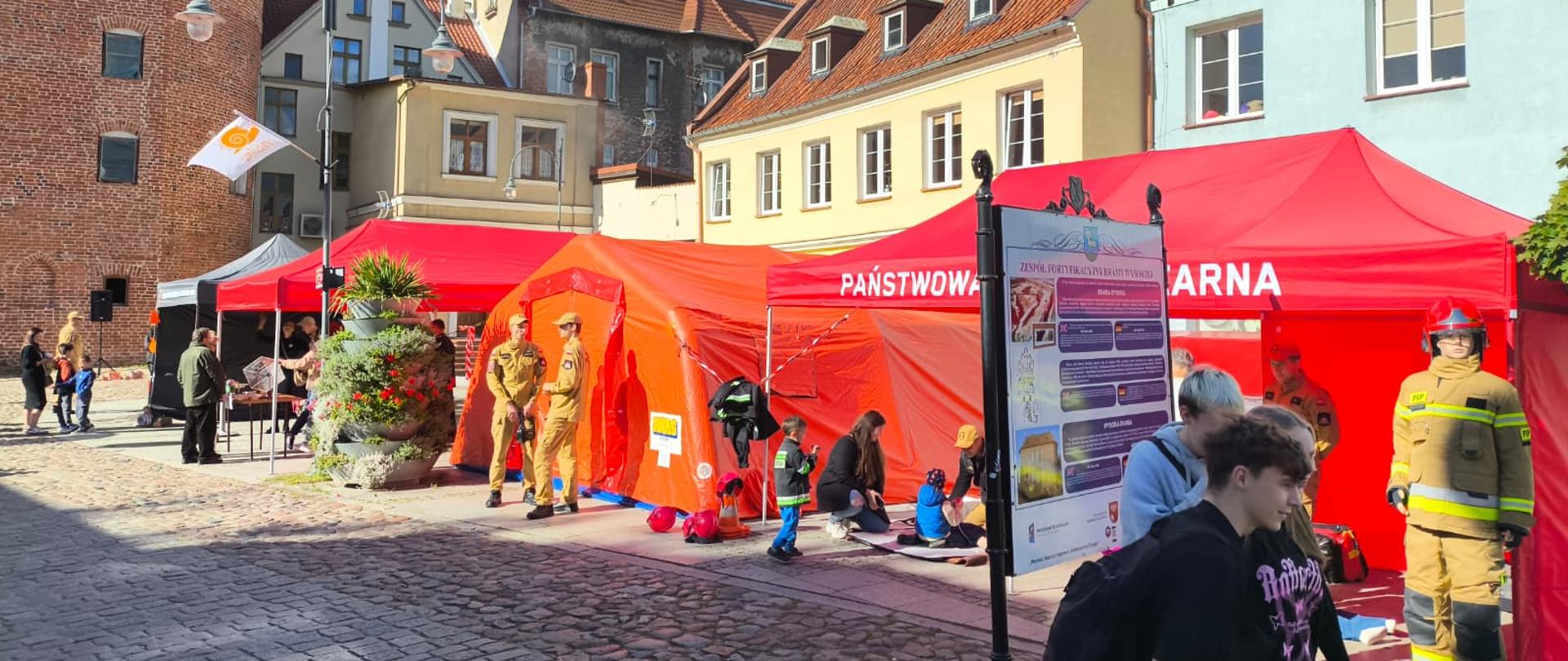 Charytatywny piknik rodzinny – kolejna zbiórka na defibrylator