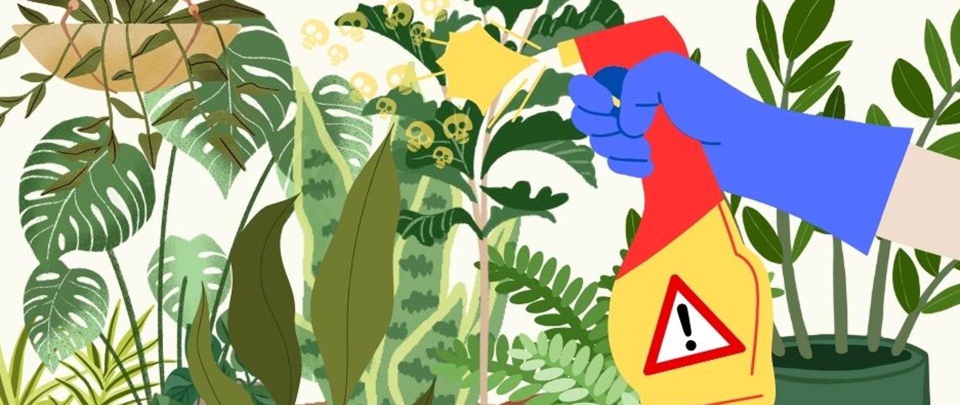 POSIADASZ ROŚLINY DONICZKOWE W DOMU? TO MUSISZ WIEDZIEĆ O ICH OCHRONIE!