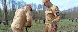 Strażacy sadzący las