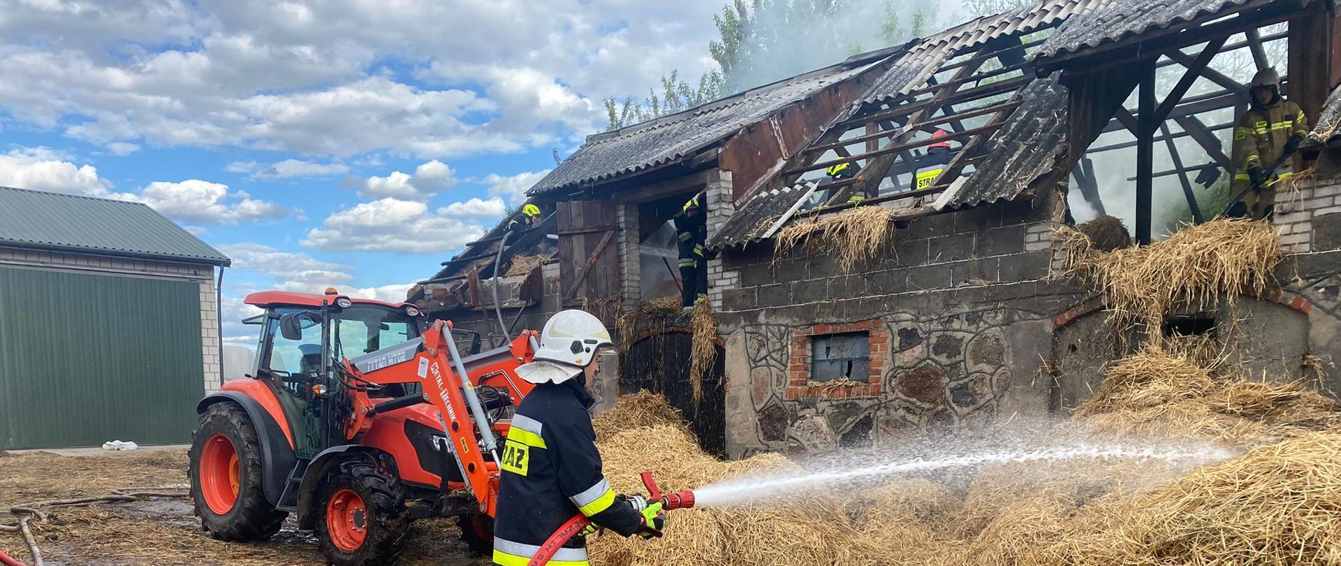 16 maja bieżącego roku o godzinie 14:36 do Stanowiska Kierowania Komendanta Powiatowego PSP w Przasnyszu wpłynęło zgłoszenie o pożarze beli słomy w pobliżu budynku gospodarczego.
Po przybyciu na miejsce pierwszych zastępów straży pożarnej stwierdzono, że pali się część obornika, jedna bela słomy stojąca obok budynku oraz słoma w belach na poddaszu obory.
Natychmiast przystąpiono do działań gaśniczych podając 5 prądów wody na występujący pożar. W dalszej kolejności działań zrzucano słomę ze stropu budynku i przelewano ją wodą. Następnie przewietrzano część budynku w którym znajdowało się 40 sztuk bydła i dokonano rozbiórkę dachu oraz części więźby dachowej.
W międzyczasie ewakuowano 3 sztuki cieląt. Nie było konieczności ewakuacji pozostałej części zwierząt.
W końcowej fazie działań właściciel obiektu zgłosił strażakom oparzenie dłoni. Poszkodowanemu mężczyźnie została udzielona kwalifikowana pierwsza pomoc, który następnie został zabrany do szpitala przez ZRM.
Działania gaśnicze trwały około 5 godzin. W działaniach udział brało 11 zastępów straży pożarnej i 46 strażaków.
