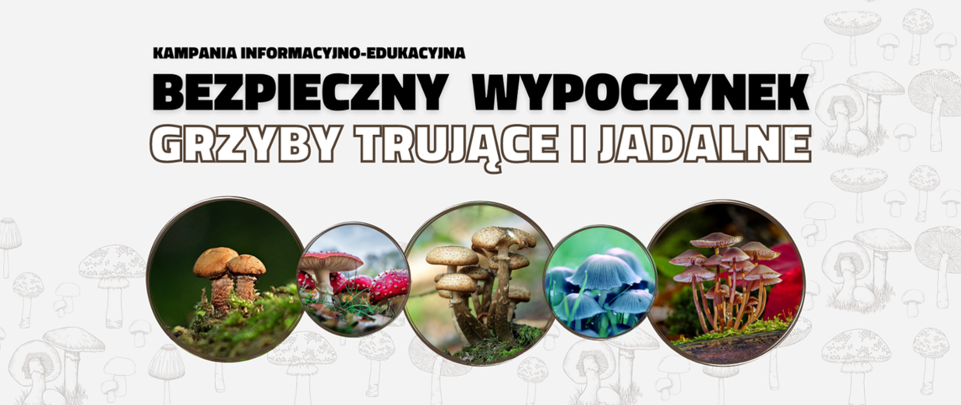 Kampania "Bezpieczny wypoczynek - grzyby trujące i jadalne