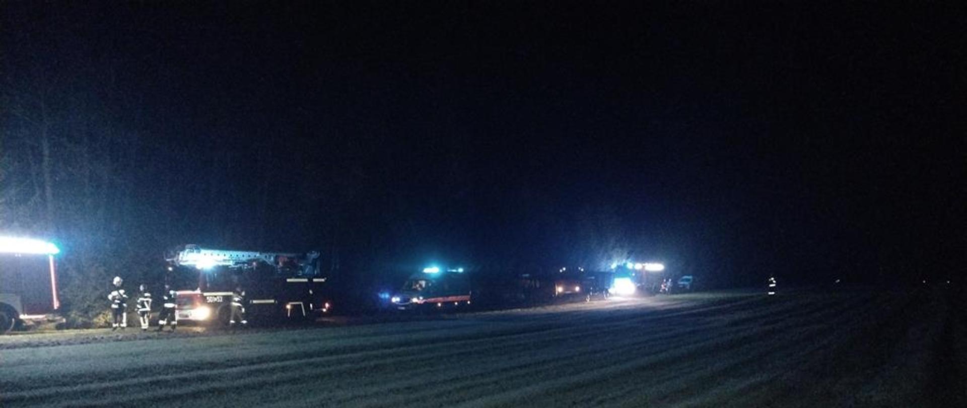 Działania ratownicze podczas pożaru w miejscowości Niekrasów.