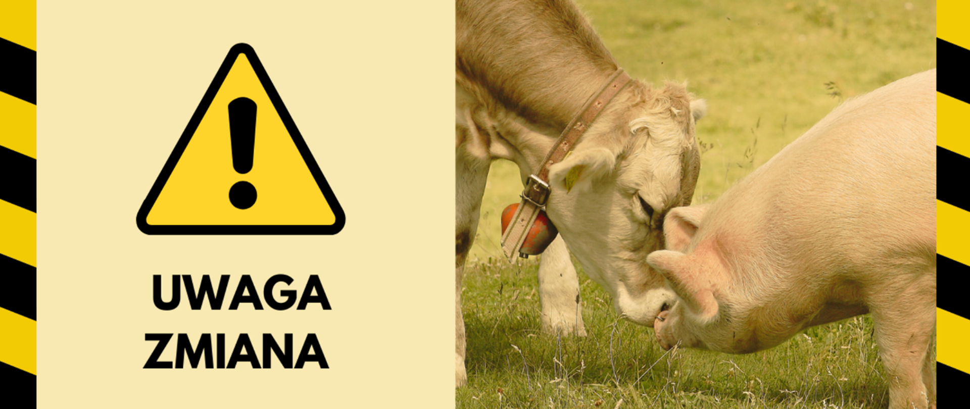 Baner zamiana terminu egzaminów