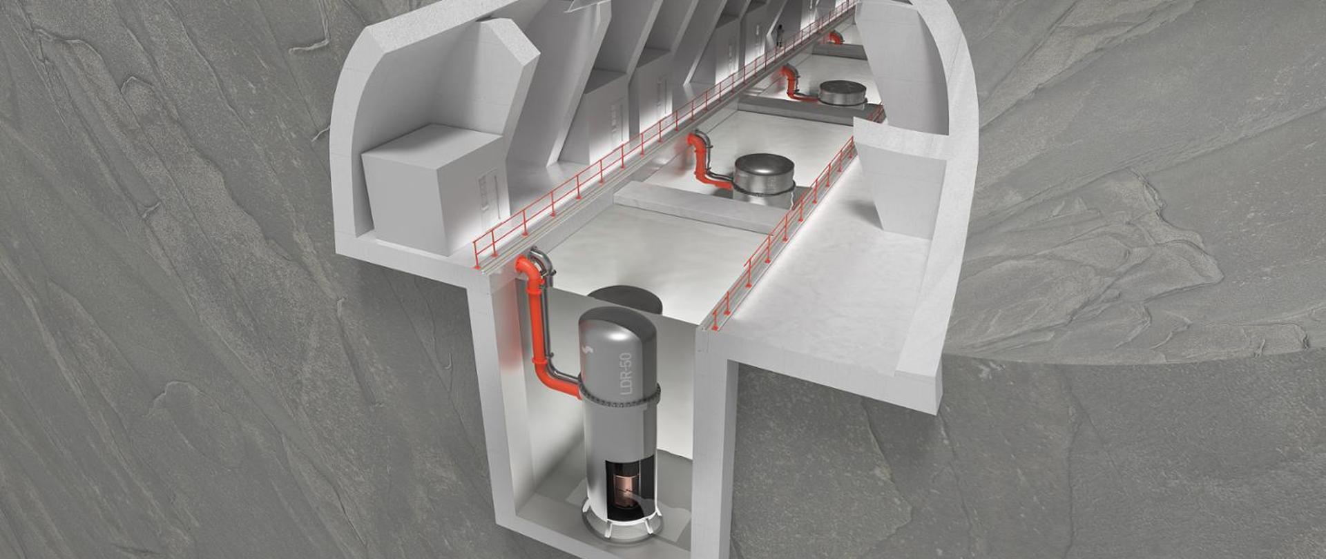 Visualization of the LDR-50 reactor