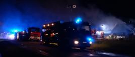 Zdjęcie wykonane nocą. Na drodze stoją pojazdu strażackie, otoczone łuną niebieskich świateł alarmowych. W tle oświetlony pożar domu jednorodzinnego.
