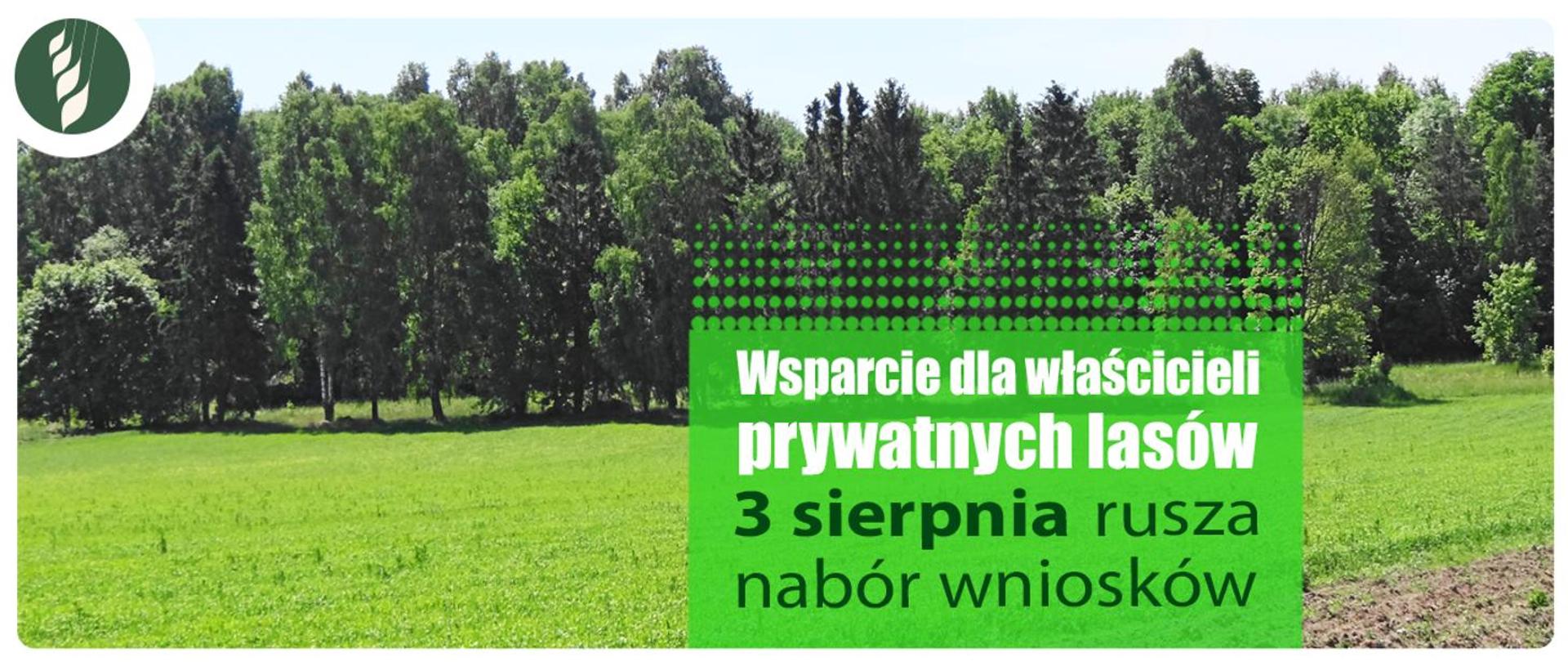 Wsparcie dla właścicieli lasów prywatnych