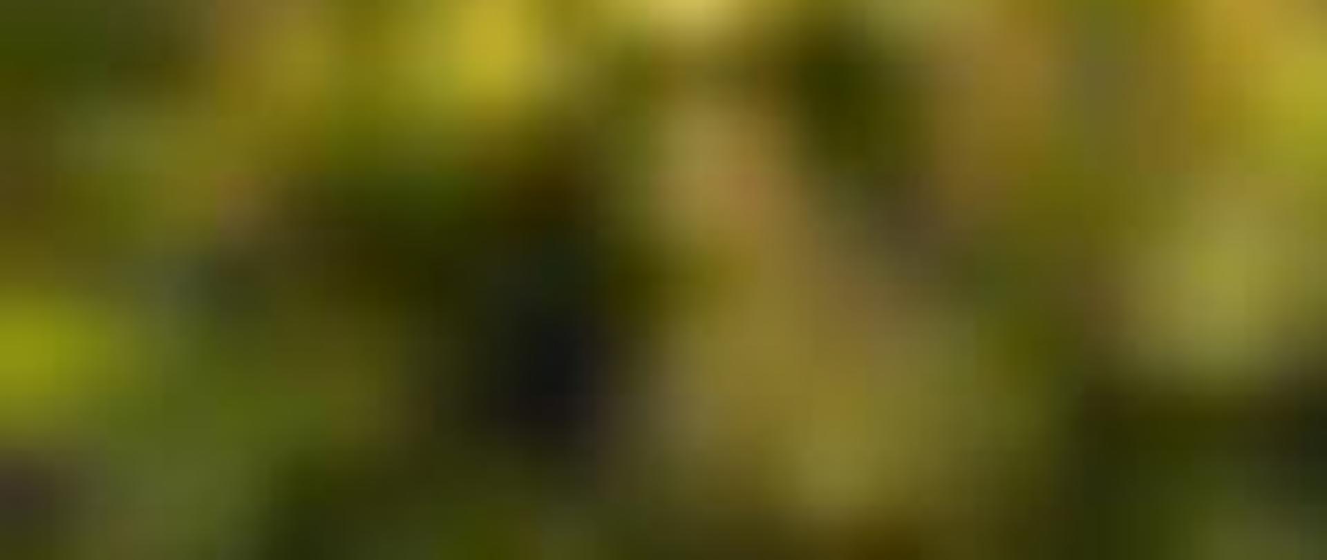  Jean-Marie De Baerdemaeker