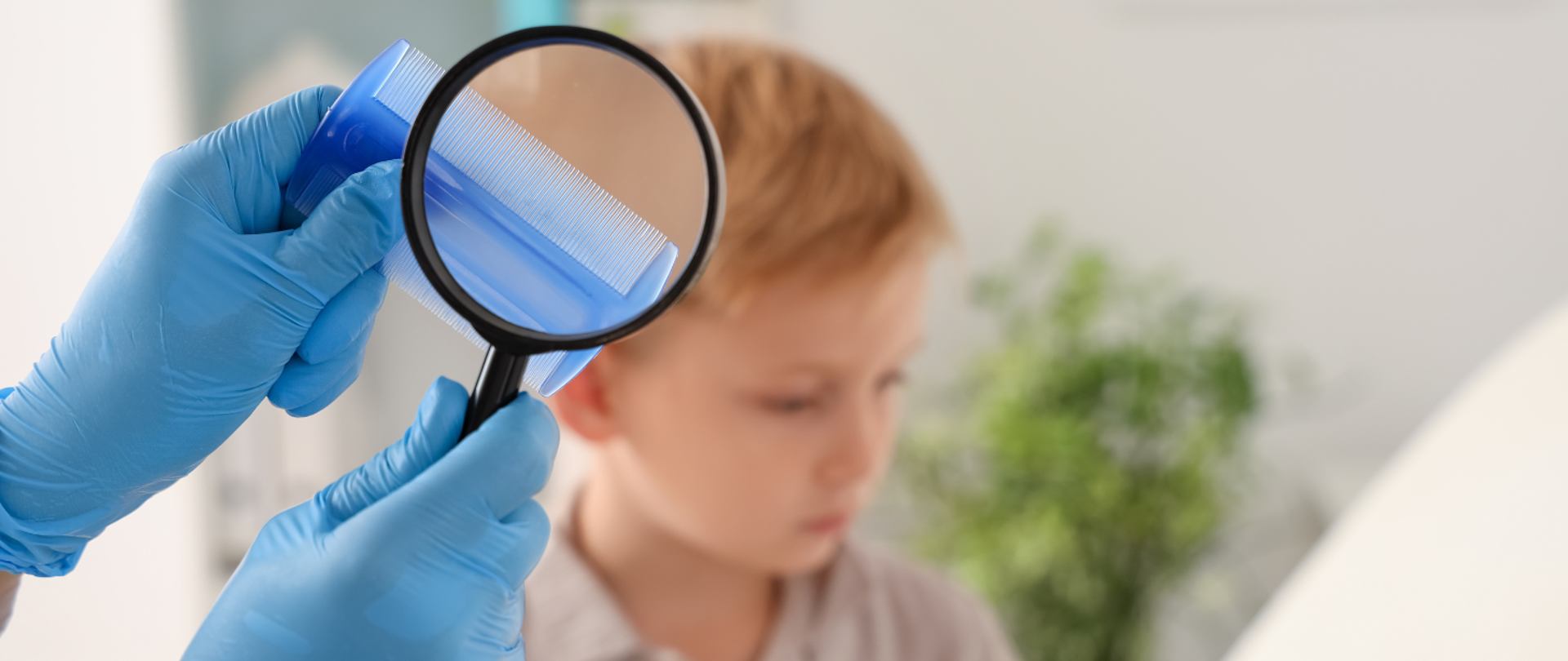 Profilaktyka wszawicy