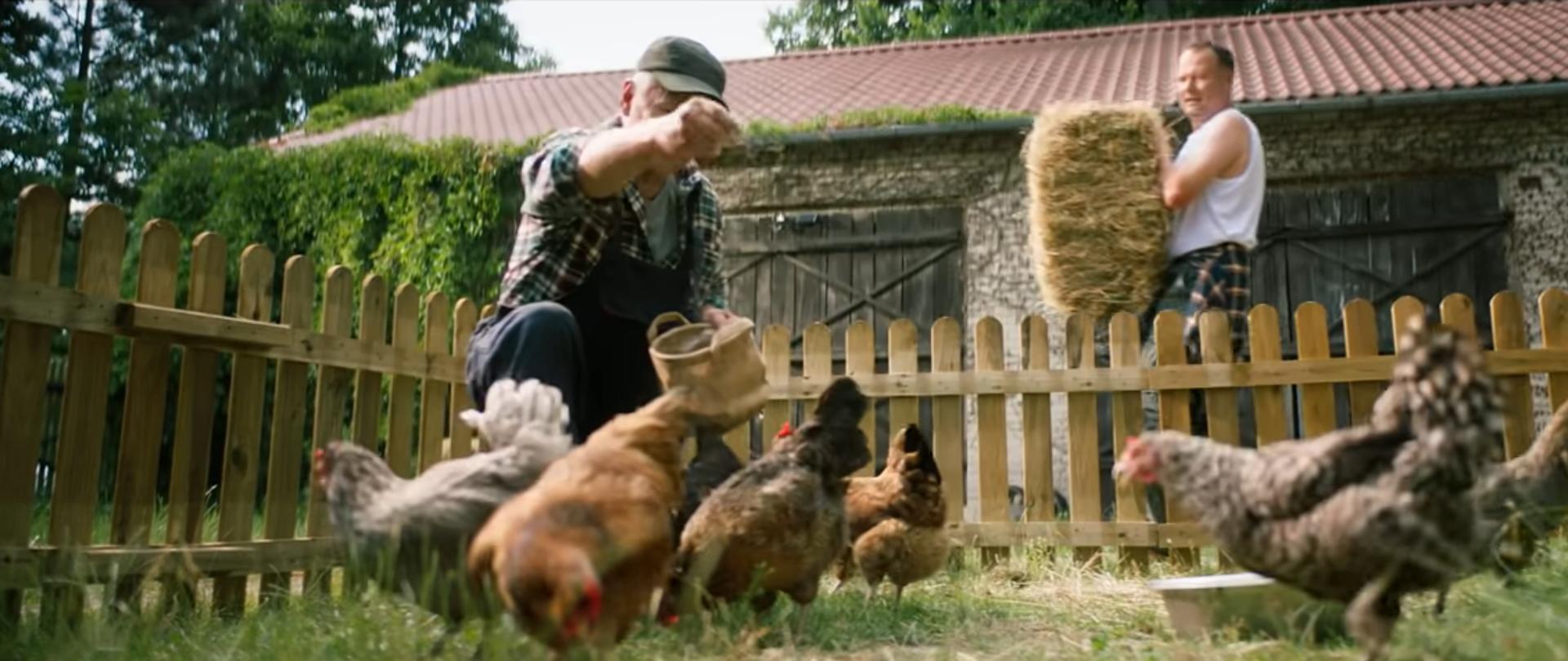Zdjęcie przedstawiające zagrodę dla drobiu i karmiącego kury mężczyznę 