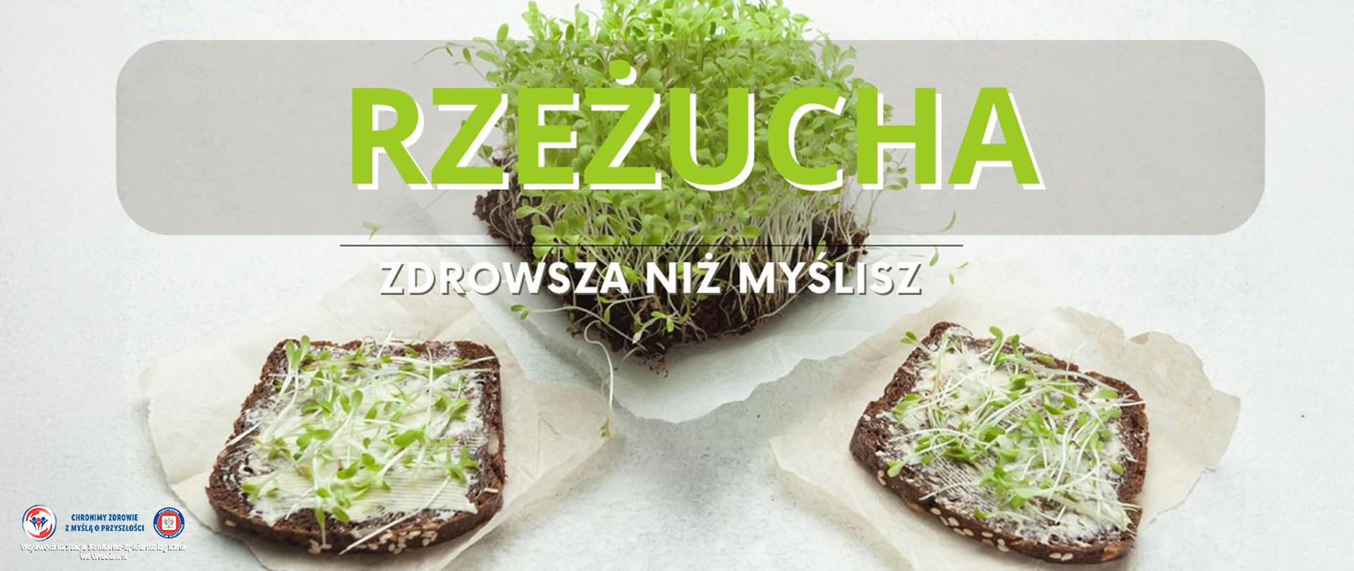 Dwa talerze z kanapkami z rzeżuchą ustawione na przeciw doniczki także z rzeżuchą