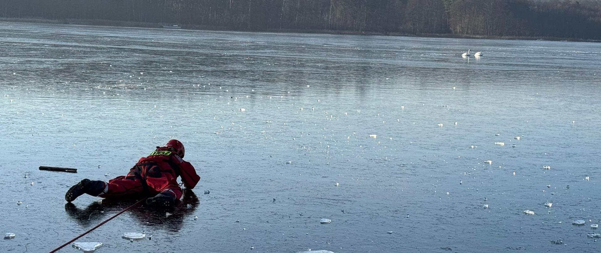 Zdjęcie przedstawia strażaka na lodzie, ratującego przymarzniętego łabędzia.
W tle zamarznięte jezioro i łabędź.
