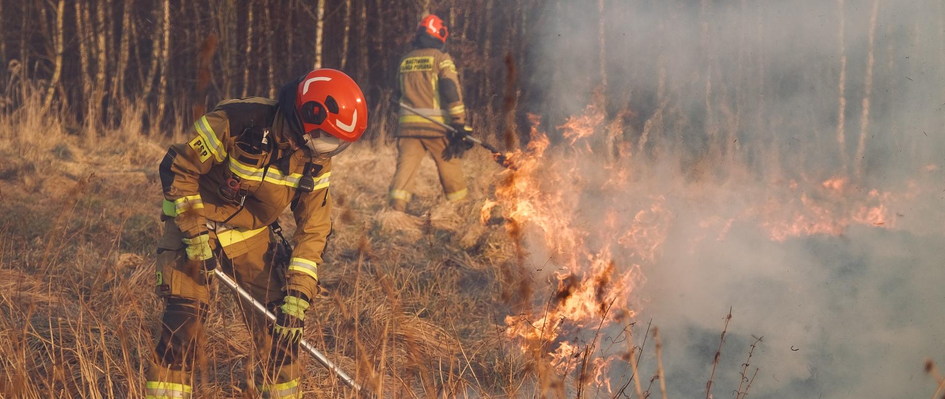 Strażak przy użyciu tłumicy gasi pożar trawy tłumicą