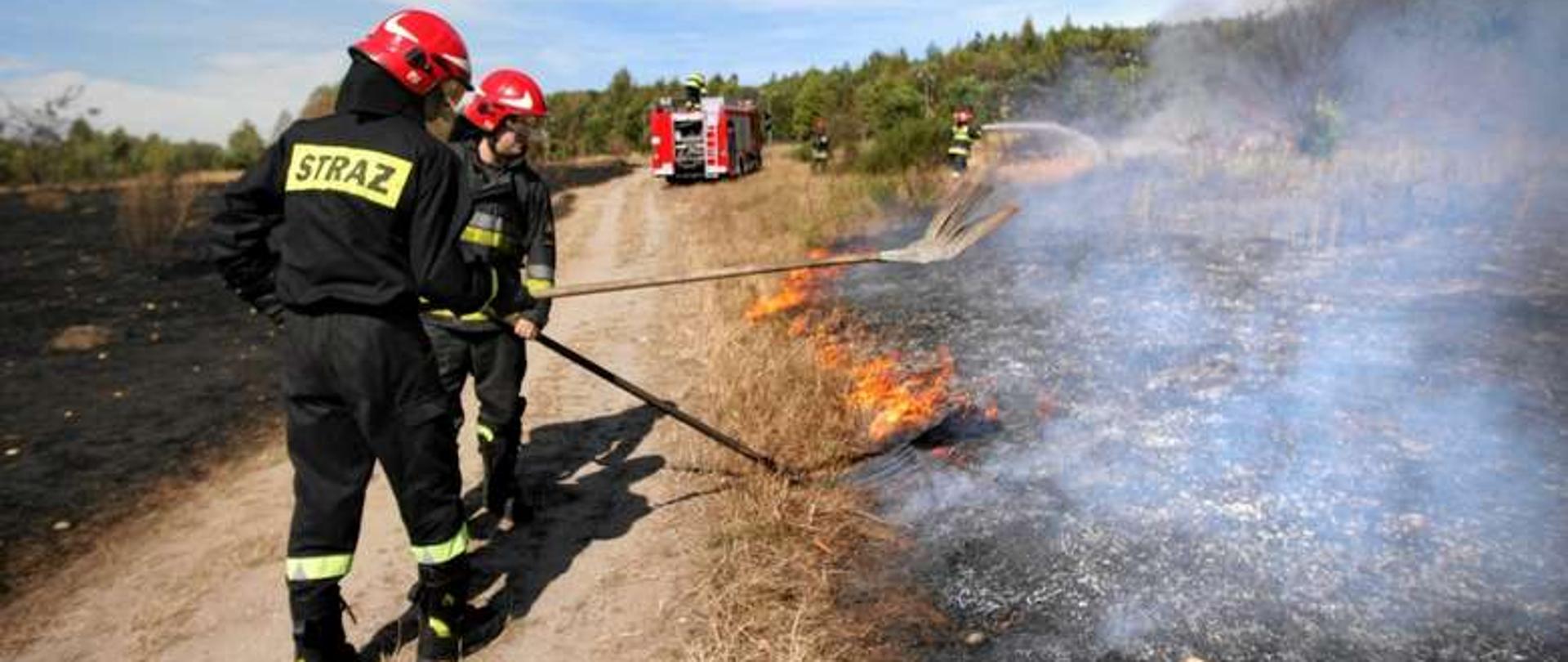 .
Strażacy gaszą pożar traw