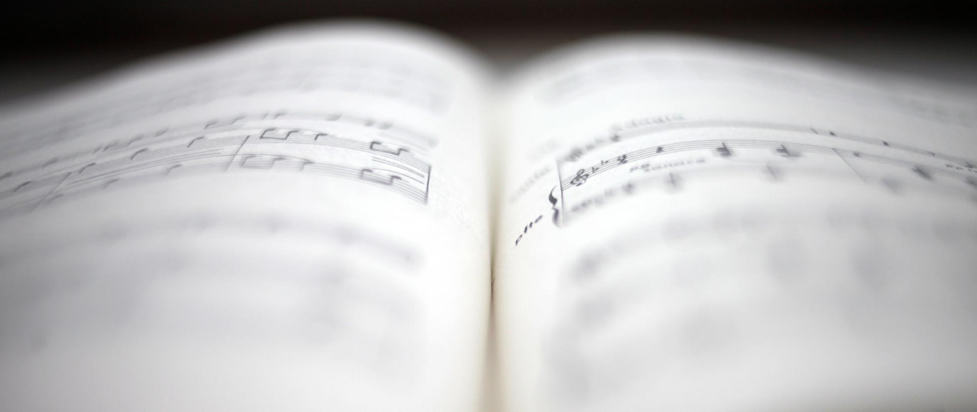 Nuty, fot. Danuta Matloch