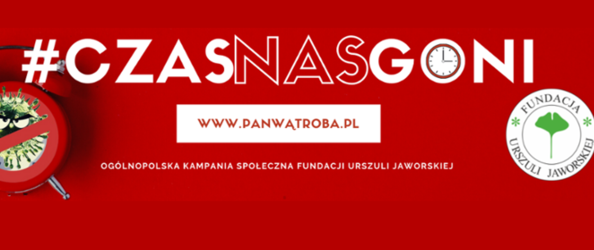 Zdjęcie przedstawia grafikę projektu 