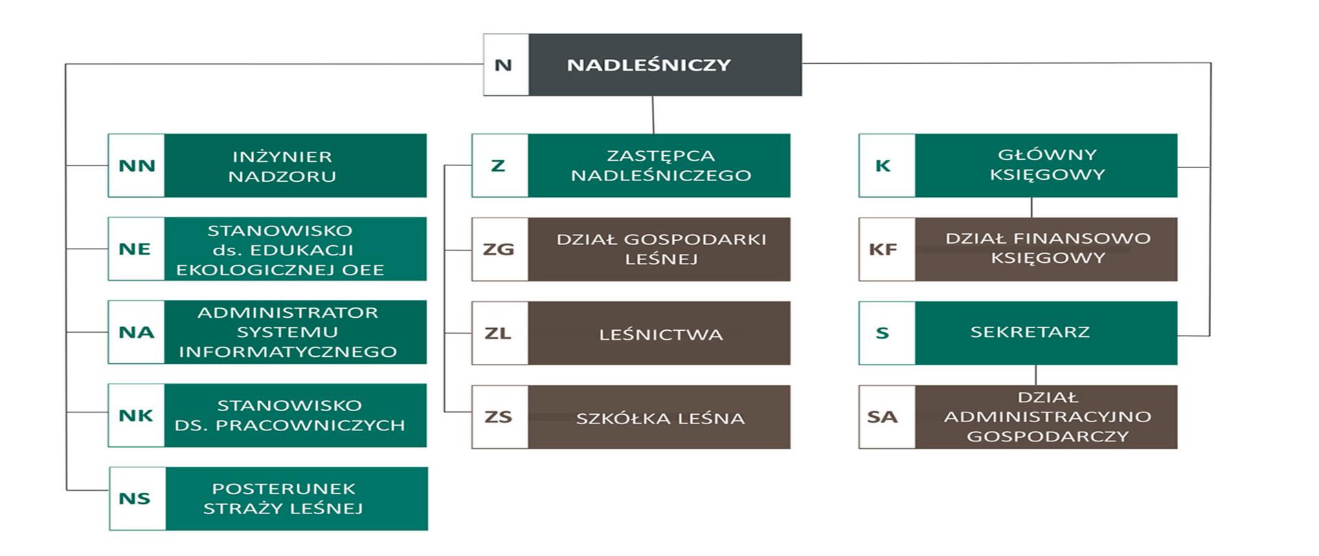 Schemat organizacyjny Nadleśnictwa Międzychód 