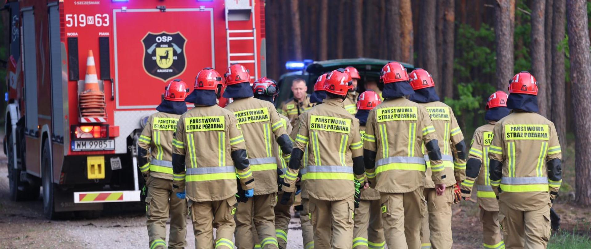 Pożar 315 hektarów lasu ugaszony