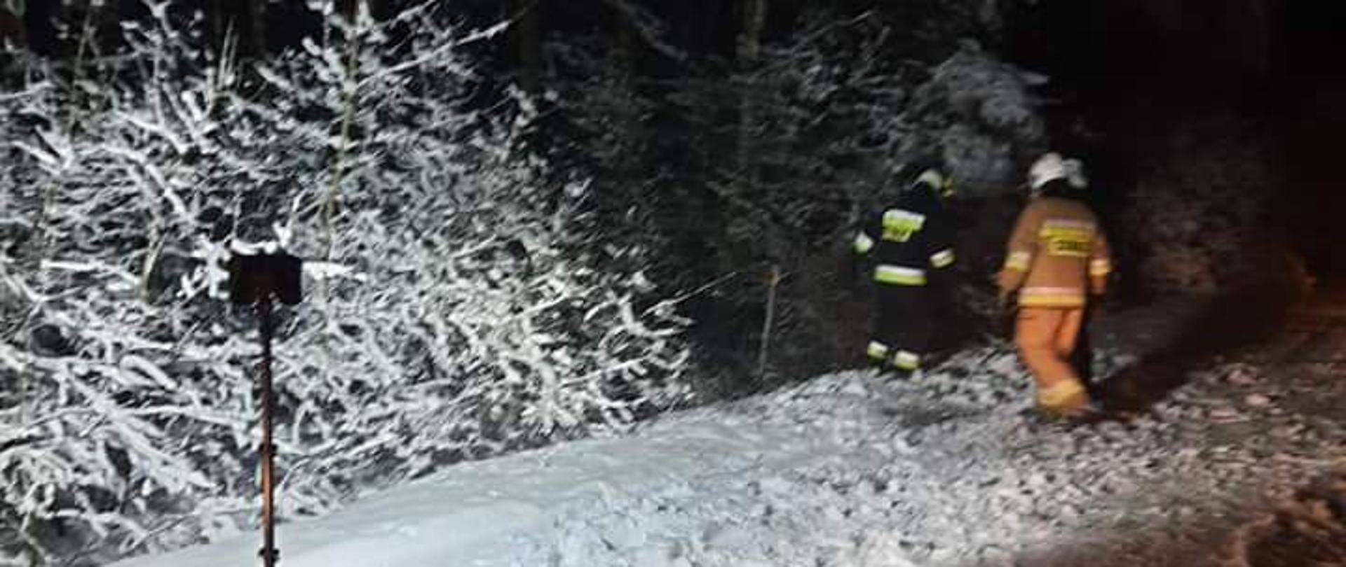 Strażacy pracujący przy cięciu drzewa powalonego na drogę na skutek intensywnych opadów śniegu. Teren działań oświetlony przy użyciu przenośnego zestawu oświetleniowego.