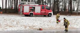 Na ok. 20 m. od brzegu zalewu znajduje się dwóch strażaków, ćwiczących ewakuację osoby poszkodowanej z przerębla. Jeden z nich leży plecami na specjalnych saniach ratowniczych i wyciąga innego mężczyznę z przerębla. Obaj ubrani są w specjalne ubrania do ratownictwa wodnego. Za nimi na brzeg znajdują się dwaj strażacy ciągnący linę, która przymocowana jest do sań, a za nimi znajduje się samochód strażacki.