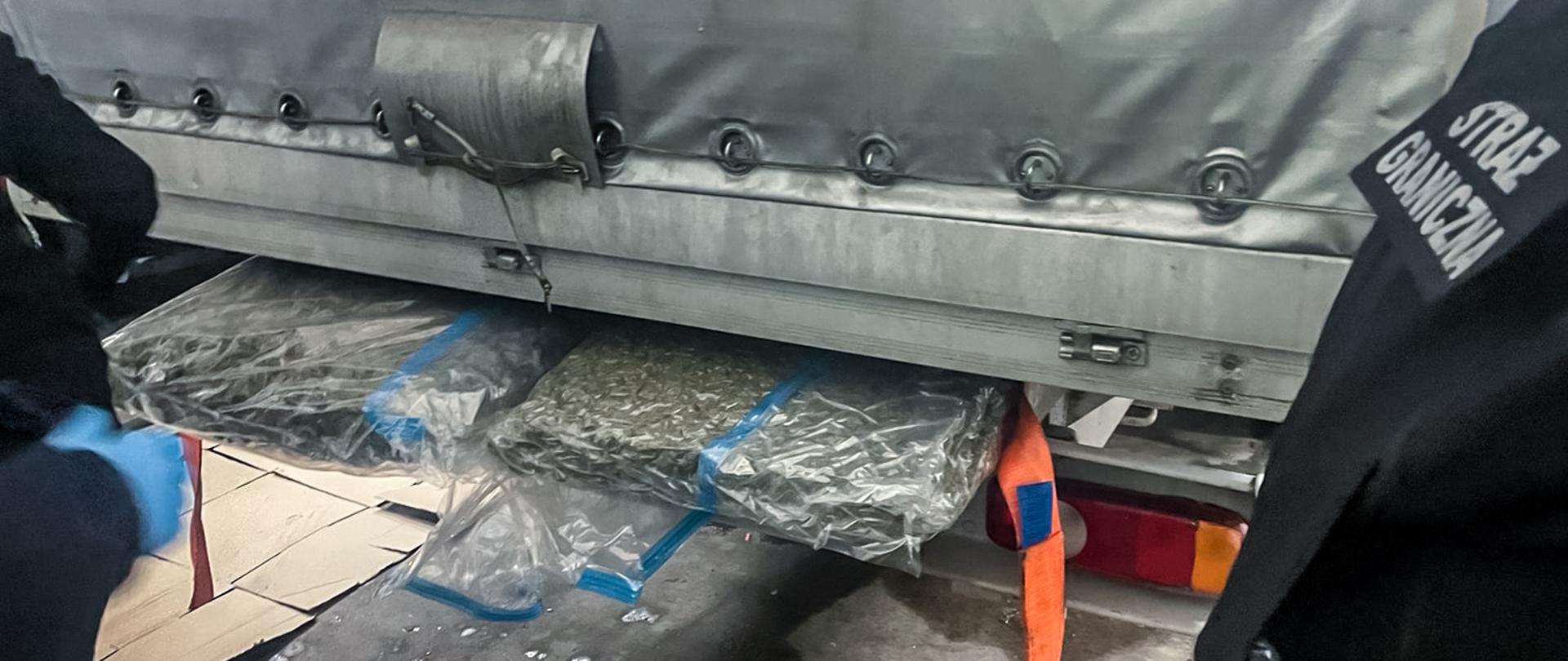 Łódzki pion PZ Prokuratury Krajowej przedstawił zarzuty za przemyt ponad 100 kg marihuany