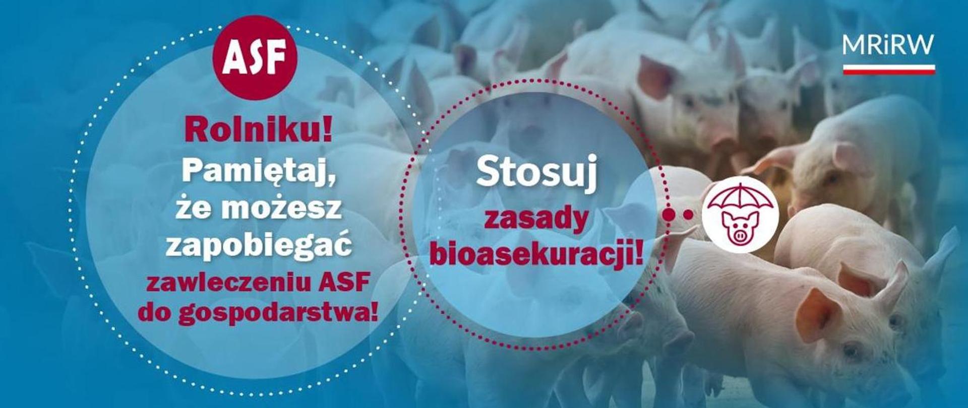 grafika jak zapobiegać asf