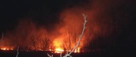 Pożar nieużytków, widać płomienie pora nocna. Nad pożarem unosi się dym. Strażacy gaszą pożar.