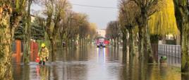 Zdjęcie przedstawia zalaną ulicę, strażaka niosącego pachołek ostrzegawczy, po bokach drogi drzewa, w głębi pojazd strażacki