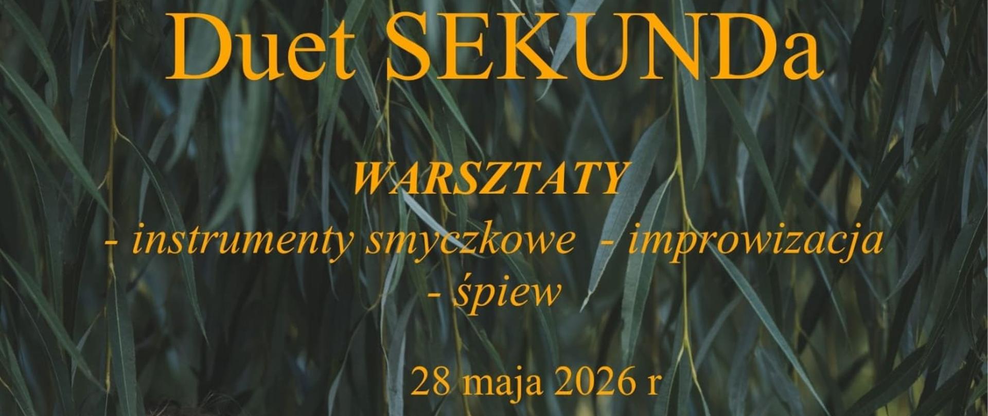 Serdecznie zapraszamy na wyjątkowe warsztaty muzyczne prowadzone przez duet SEKUNDa – Dorotę Błaszczyńską-Mogilską i Wiolę Jakubiec. Wydarzenie odbędzie się 28 maja 2026 roku w Sali Koncertowej Państwowej i Samorządowej Szkoły Muzycznej w Skierniewicach.
Spotkanie poświęcone będzie instrumentom smyczkowym, improwizacji oraz śpiewowi. Program rozpocznie się o godzinie 16.00 otwarciem warsztatów. O 16.30 uczestnicy rozpoczną pracę z orkiestrą smyczkową, a od godziny 18.00 przewidziane są konsultacje indywidualne.
Plakat utrzymany jest w artystycznym, muzycznym charakterze. Najważniejsze informacje zapisano dużymi, wyraźnymi literami. Centralne miejsce zajmuje nazwa wydarzenia oraz harmonogram warsztatów. Całość ma elegancki i kameralny klimat, podkreślający twórczy charakter spotkania muzycznego.
