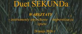 Spotkanie poświęcone będzie instrumentom smyczkowym, improwizacji oraz śpiewowi. Program rozpocznie się o godzinie 16.00 otwarciem warsztatów. O 16.30 uczestnicy rozpoczną pracę z orkiestrą smyczkową, a od godziny 18.00 przewidziane są konsultacje indywidualne.