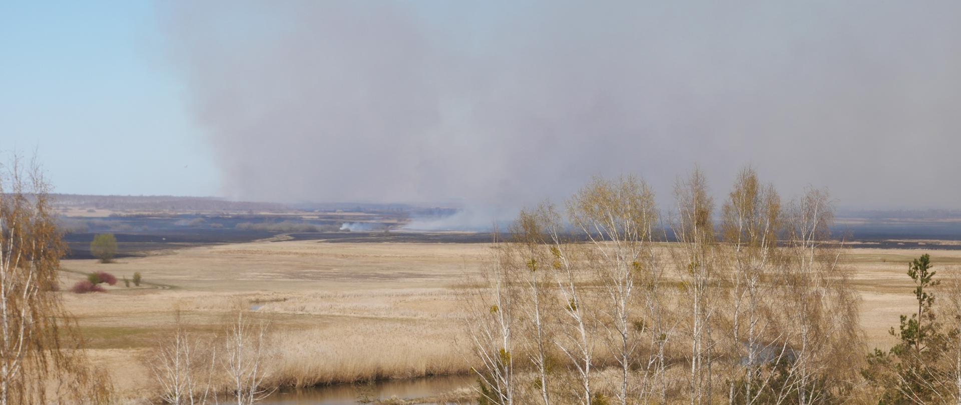 Pożar w Biebrzańskim Parku Narodowym