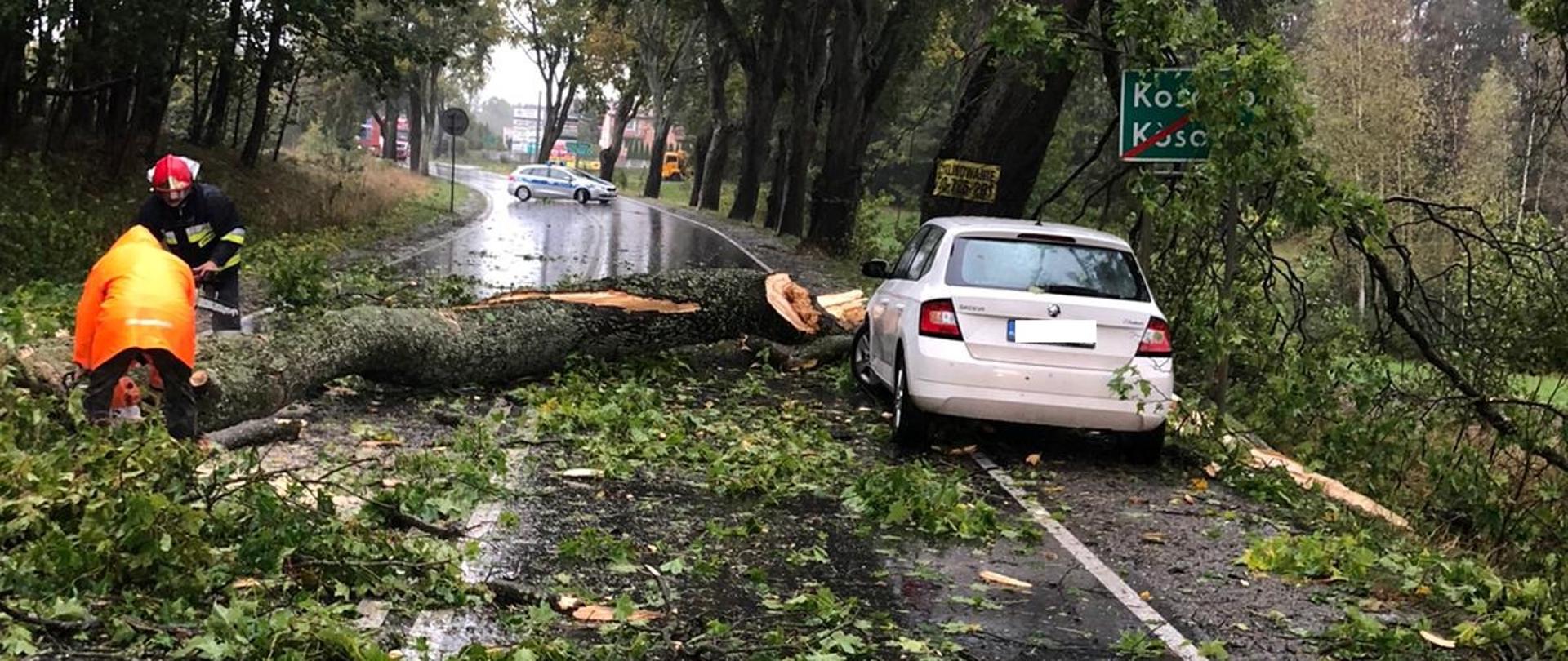 Przewrócone drzewo na jezdni
