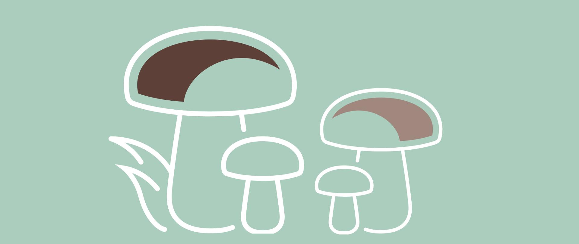 Na grafice znajdują się grzyby. Tło jest zielone.