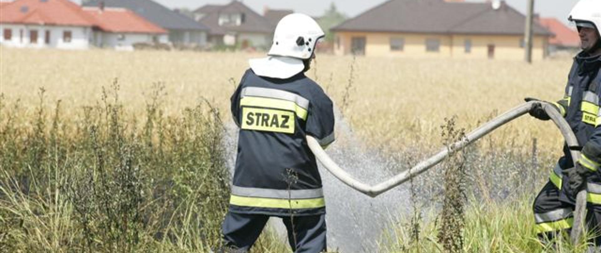 Dwóch strażaków z wężem pożarniczym polewają wysoką trawę. W tle domy jednorodzinne.