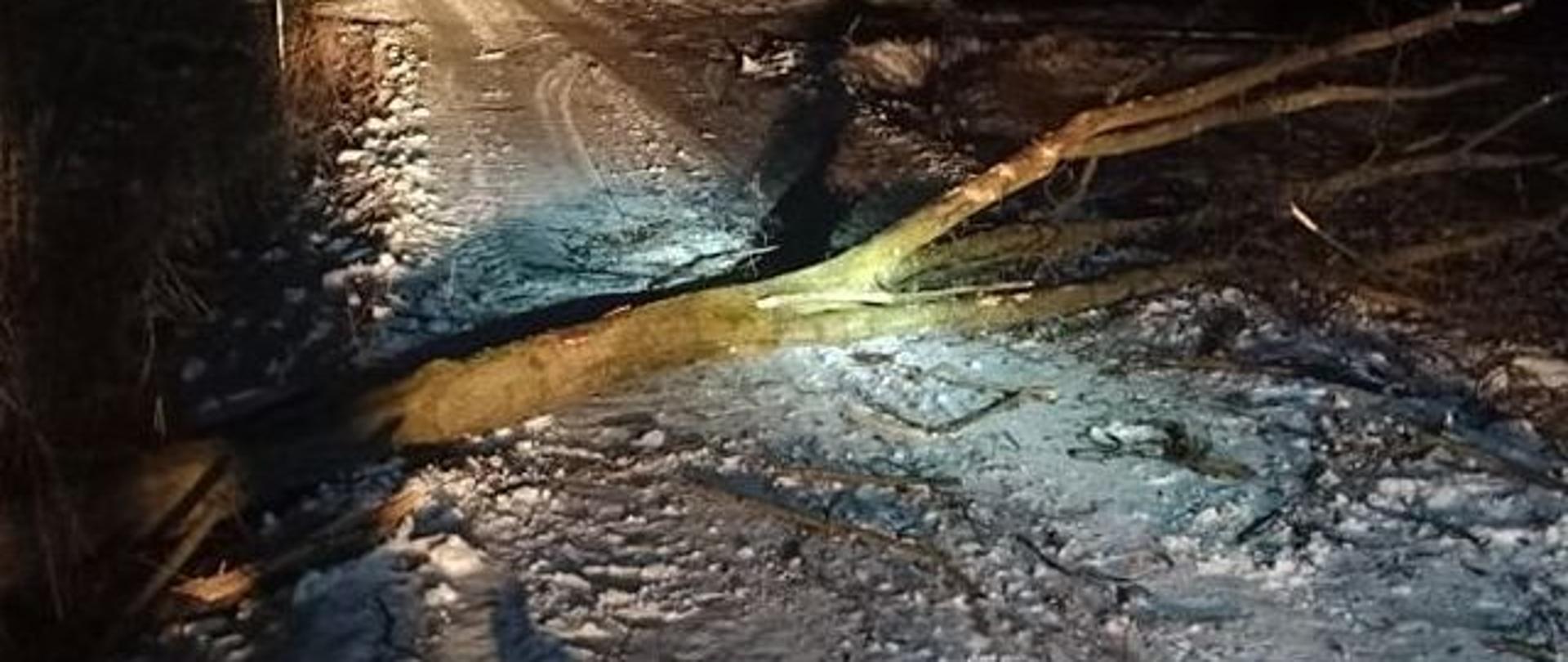 Nocą na zaśnieżonej drodze poza terenem zabudowanym leży powalone drzewo. 