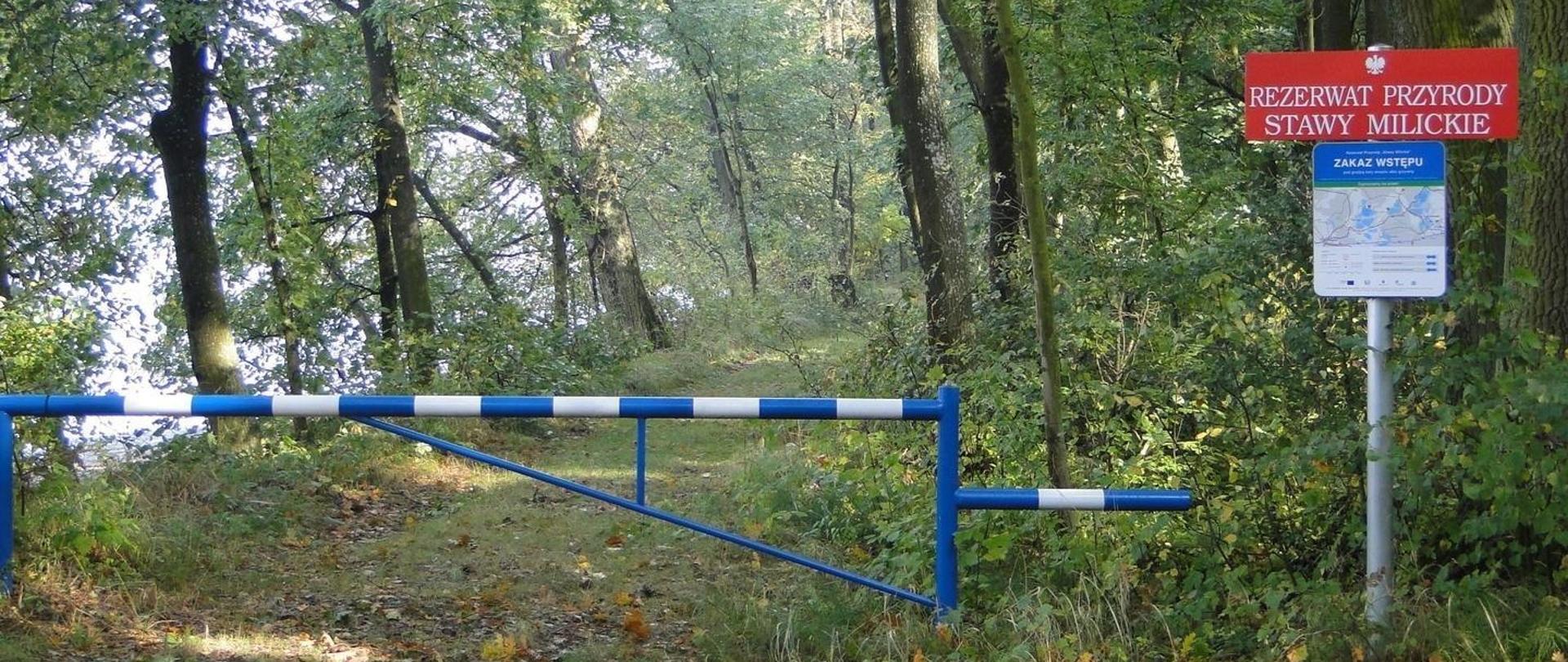 Co powinniśmy wiedzieć planując wycieczkę do rezerwatu przyrody „Stawy Milickie”