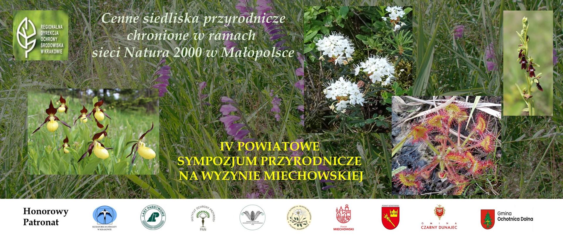 Plakat reklamujący IV Powiatowe Sympozjum Przyrodnicze na Wyżynie Miechowskiej dot. Cennych siedlisk przyrodniczych chronionych w ramach sieci Natura 2000 w Małopolsce. Oprócz nazwy wydarzenia na plakacie umieszczono kilka zdjęć chronionych roślin.