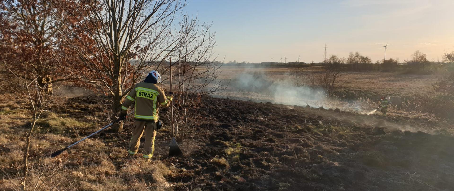widoczny na zdjęciu strażak oraz palące się nieużytki