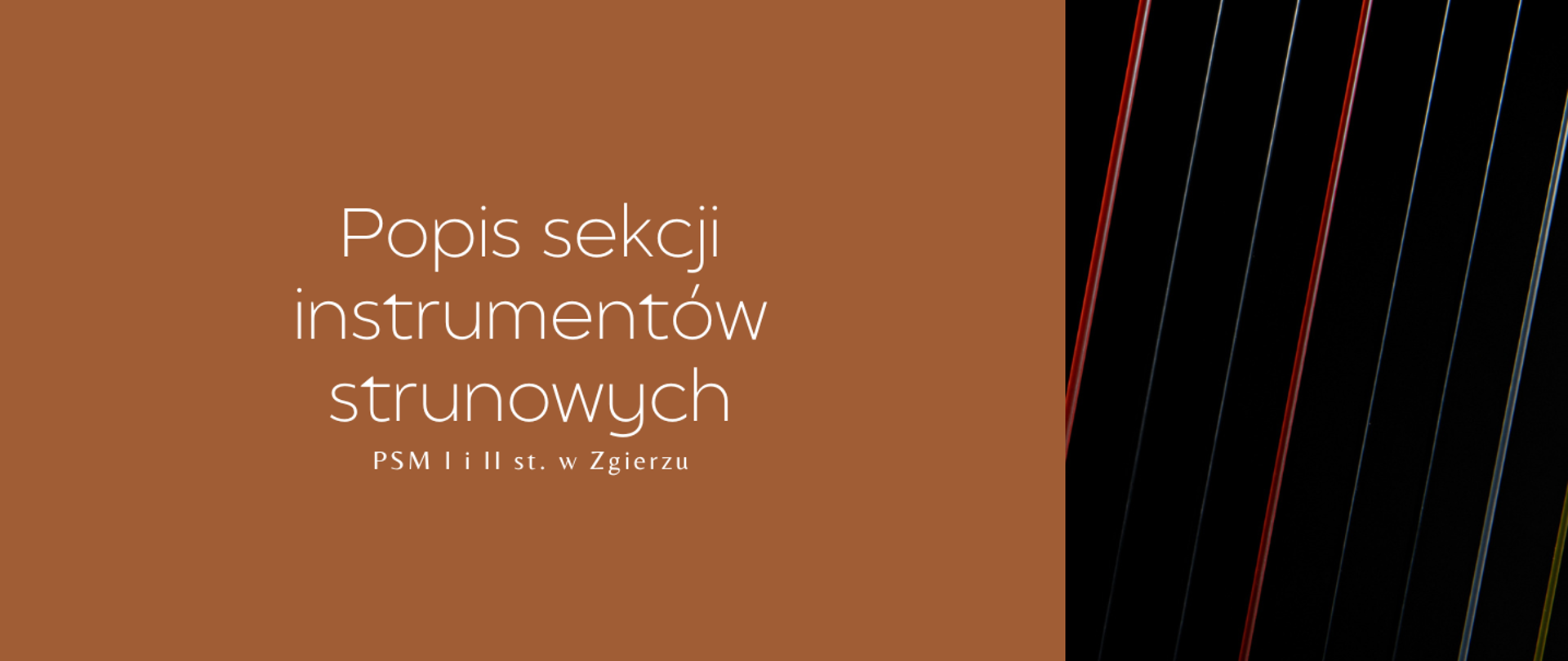 Po lewej stronie, na brązowym tle, biały napis "Popis instrumentów strunowych PSM I i II st. w Zgierzu". Po prawej stronie zdjęcie strun instrumentu muzycznego.